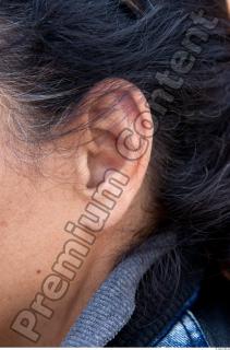 Ear texture of street references 446 0001